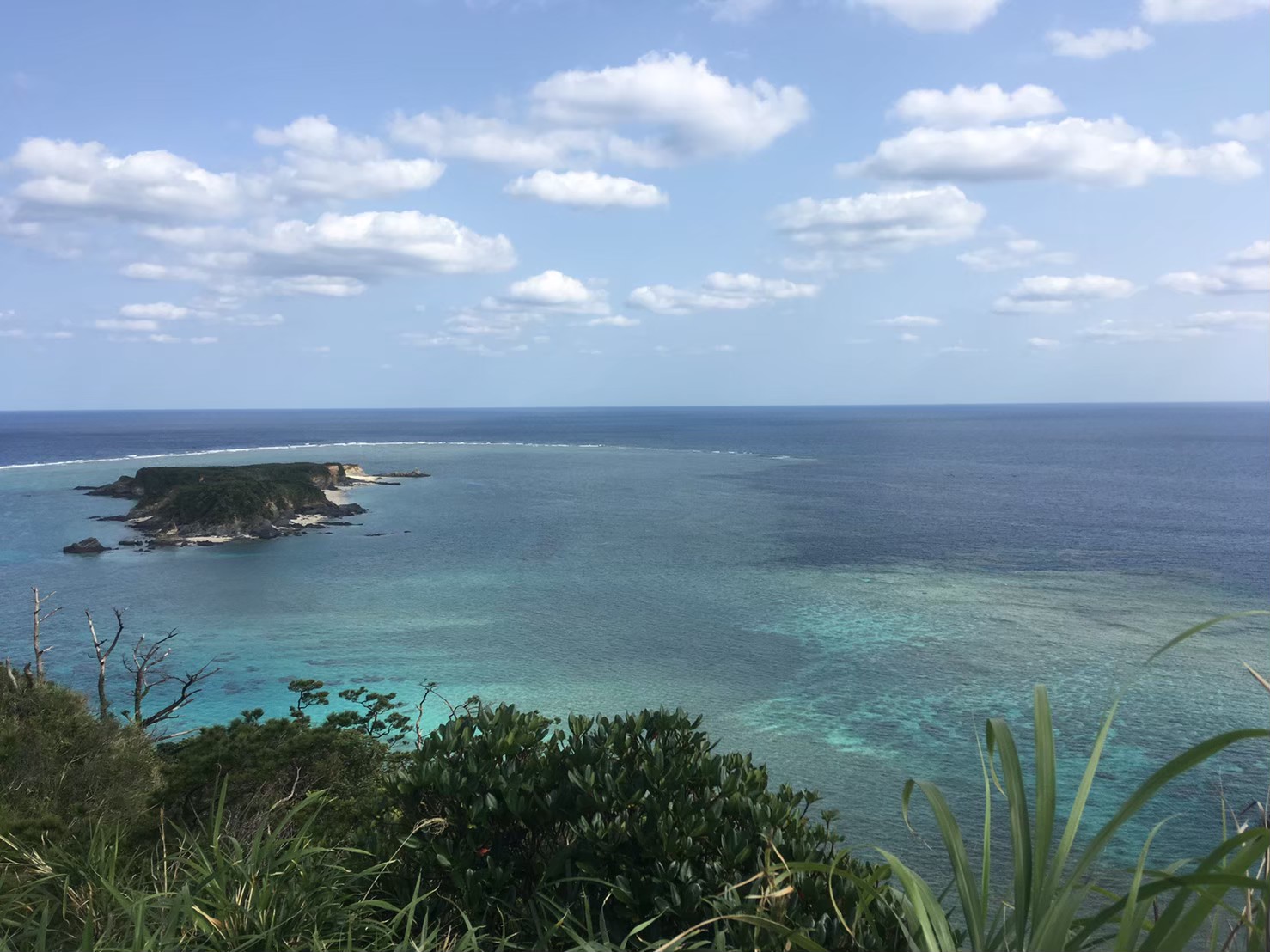 風景・自然